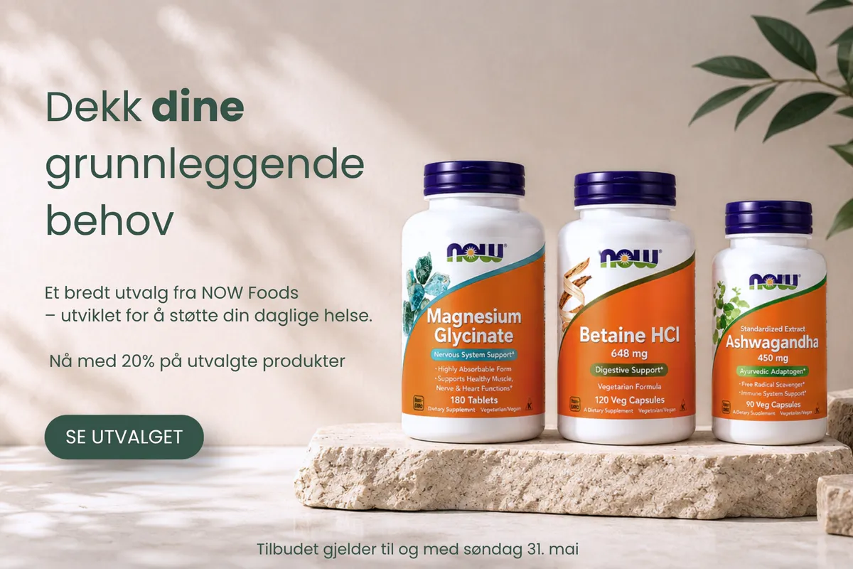 Utvalgte NOW Foods kosttilskudd inkludert magnesium glycinate, betaine HCl og ashwagandha presentert i et rolig, naturlig miljø med fokus på grunnleggende helse og kvalitet